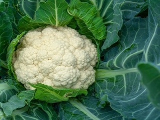 ODPAD, ktorým sa pripravujete