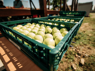 Kaufland sa školákom celý