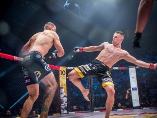 Kto je Milan Ďatelinka?