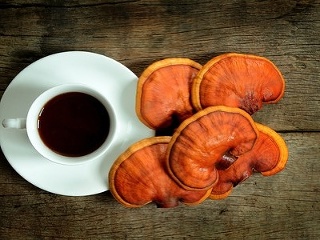 Tekutá sila s protinádorovými