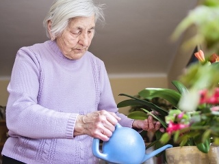 MONSE upozorní na situácie,