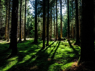 Klíma potrebuje nás všetkých: