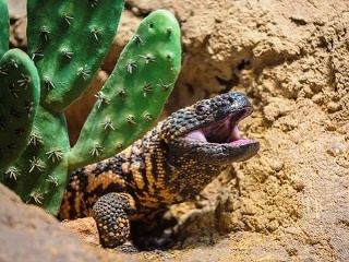 Bojnická zoo získala do