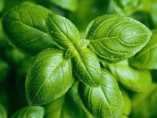 Nedocenená SILA bežnej kuchynskej