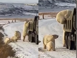 Samoobsluha na sibírsky spôsob