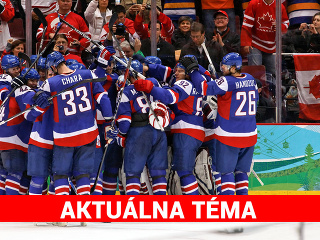 MS v ľadovom hokeji