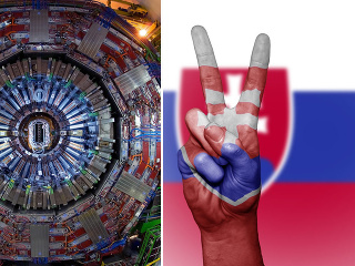 Slovensko zaplatilo členstvo v