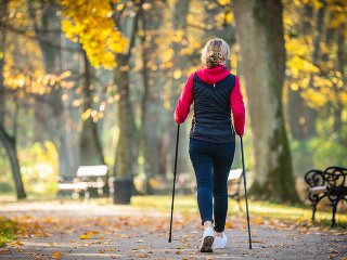 Šesť dôvodov, prečo je