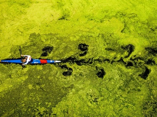 Srb, ktorému sa podarilo