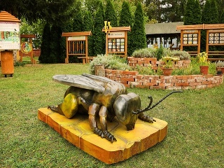 Spotrebitelia rozhodli, ktoré regionálne