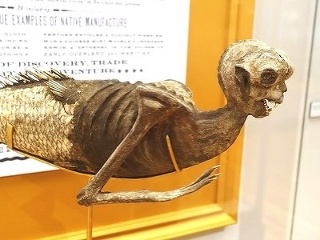 Morská panna z Fidži