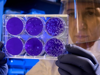 Objavili úžasné veci, za