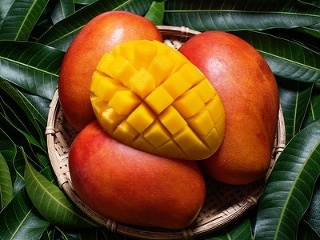 Tropický zázrak, ktorý vyhladí