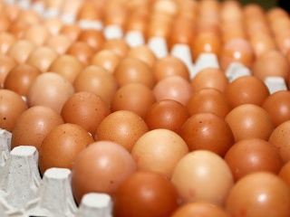 Reprezentatívny prieskum hovorí jasne: