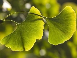 Zvráti procesy, ktoré vyvoláva