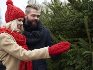 Vianočný STROMČEK vám dá