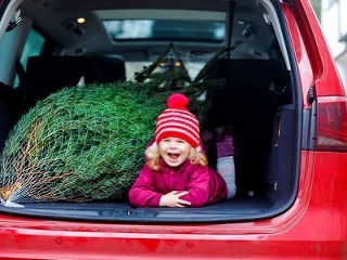 Vianočný stromček: Toto všetko
