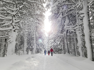 Cestovný ruch nezvyšuje čísla