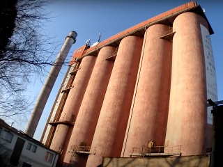 Vidieť ich môžeš takmer