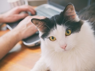 KVÍZ, ktorý zvládne len