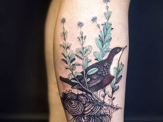 Vtáky, veveričky, bylinky: Martina