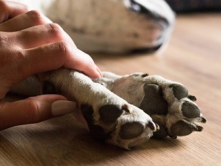 Vyrovnajte sa so smrťou