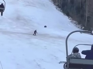 Lyžiara v obľúbenom zimnom