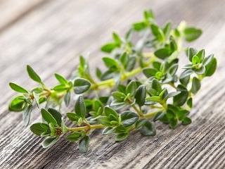 Zabijak vírusov? Bežná BYLINKA