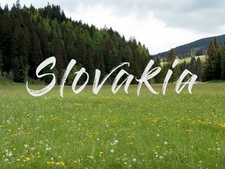 Zabudnite na všetko zlé: