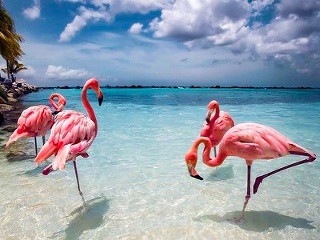 Aruba – najromantickejší z