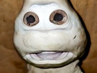 Indonézsky rybár vylovil žraloka