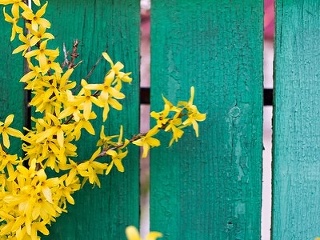 Zámena, ktorá sa vám