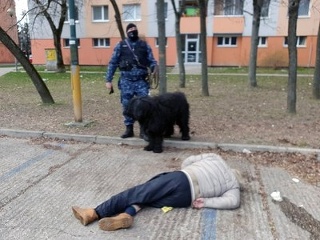 Dojímavý príbeh psej oddanosti.