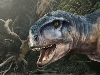 Llukalkan aliocranianus