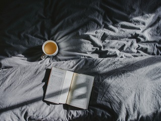 Slovenský jazyk a literatúra: