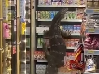VIDEO Zákazníci v obchode