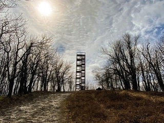 Na výlete v Bratislavskom