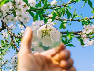 KVÍZ Rozpoznáš tieto objekty