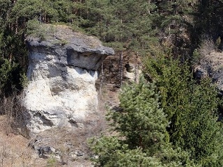 Ľupčiansky skalný hríb