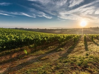 5 svetových miest, ktoré