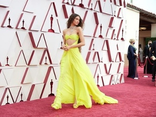 Mladá herečka Zendaya je