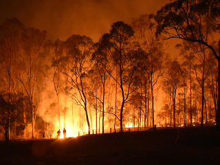 Škoda po požiari lesa