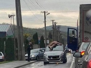 ŠOK a ZDESENIE: Žene