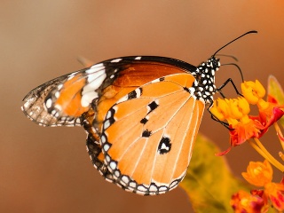 Ľudia boli v správnu