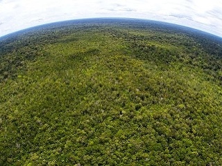Desivé zistenie o Amazonskom