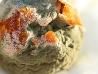 Nechutný trend na internete: