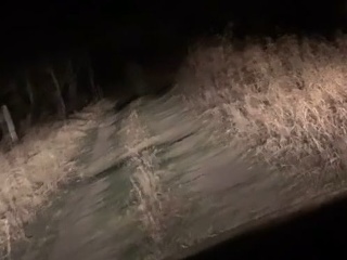 VIDEO Hrôza počas nočnej