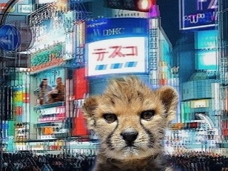 Hyperpop made in Slovakia: