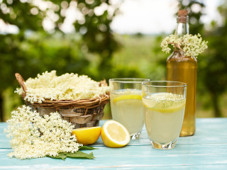 Kedy zbierať bazu a