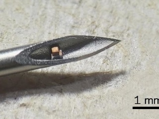 Vedci oslavujú: Vyvinuli extrémne